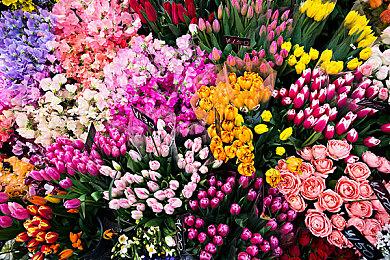 《生化危机4：重制版》更新后DF分析 各版本都更好了