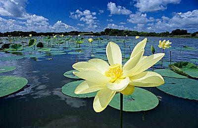 PS5 Slim现已正式发售 标准版售价499.99美元